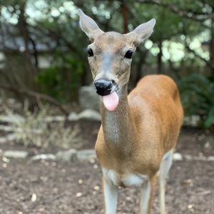 Meet your Posher, Debra